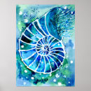 Suche nach nautilus poster Ozean