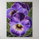 Suche nach stiefmütterchen kunst Violette blumen