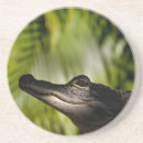 Suche nach fotograf untersetzer Natur