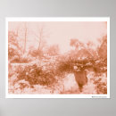 Suche nach sammler poster Fotografie