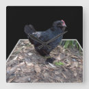 Suche nach chicken wanduhren Black