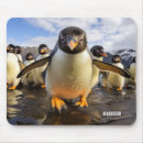 Suche nach lustige pinguin mousepads Natur