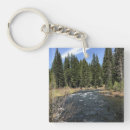 Suche nach muir accessoires Bäume