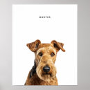 Suche nach airedales poster Welpe