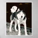 Suche nach sibirischer husky poster Zäh