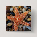 Suche nach direkt oben buttons Strand