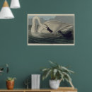 Suche nach weißer schwan poster Für sie
