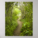 Suche nach wald poster Tag