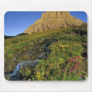 Suche nach passen sie auf mousepads Usa