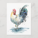 Suche nach rooster postkarten Vögel