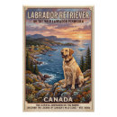 Suche nach labrador retriever poster Welpe