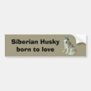 Suche nach sibirischer husky autoaufkleber Sibe