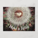 Suche nach löwenzahn postkarten Jede person