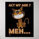 Suche nach meh poster Katze
