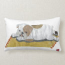 Suche nach englisch kissen Für sie