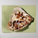 Suche nach lanzer poster Reiten