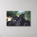 Suche nach arabisch leinwandbilder Foto