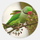 Suche nach parkett aufkleber Bunt