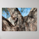 Suche nach grumpy poster Miauen