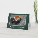 Suche nach roter panda karten Zoo