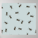 Suche nach ants poster Darstellung