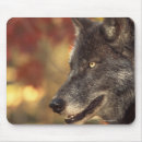 Suche nach wilder wolf mousepads Winter