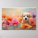 Suche nach goldener labrador poster Goldene retriever