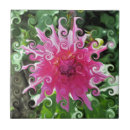 Suche nach rosa dahlien fliesen Dahlia blume