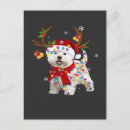 Suche nach lustige weihnachten postkarten Hunde