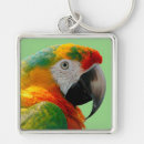 Suche nach macaw schlüsselanhänger Tierwelt