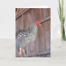 Suche nach alter rocker karten Fotografie