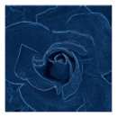 Suche nach samt poster Blau