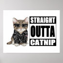 Suche nach gangsta poster Lustig