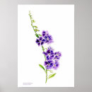 Suche nach sarah kunst Blume