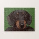 Suche nach dackel puzzle Haustier