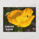 Suche nach queensland postkarten Reise