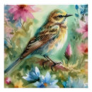 Suche nach songbird poster Natur
