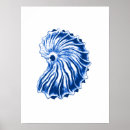 Suche nach weiße muschel poster Seashell