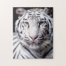 Suche nach white tiger puzzle Wild cats