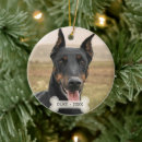 Suche nach dobermann schmuck Für alle