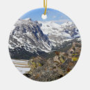 Suche nach murmeltier ornamente Schnee