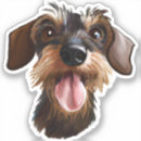Suche nach wursthund aufkleber Dachshund