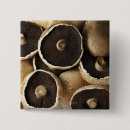 Suche nach farbbild buttons Studioaufnahme