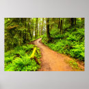 Suche nach fußweg poster Wald