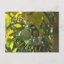 Suche nach niedlicher vogel geburtstag karten Jede person