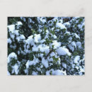 Suche nach holly postkarten Winter
