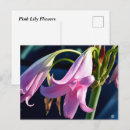 Suche nach rosa lilie postkarten Botanisch