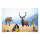 Suche nach affe mit banane poster Bananen