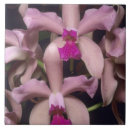 Suche nach orchid fliesen Wild