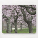 Suche nach kirschbaum mousepads Frühling